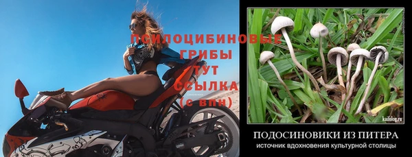 мет Гусиноозёрск