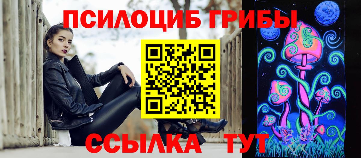 Псилоцибиновые грибы Psilocybe Рубцовск